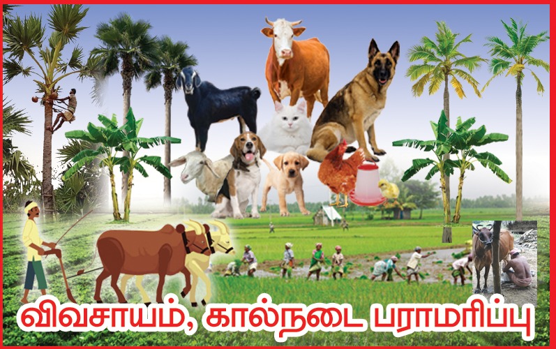 AIADMSK-24/7